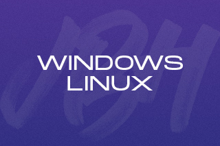 Windows / Linux